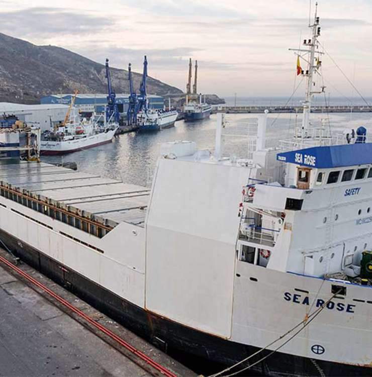 Líneas regulares